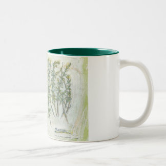 2 Couleurs tasse - copie botanique de deux tons