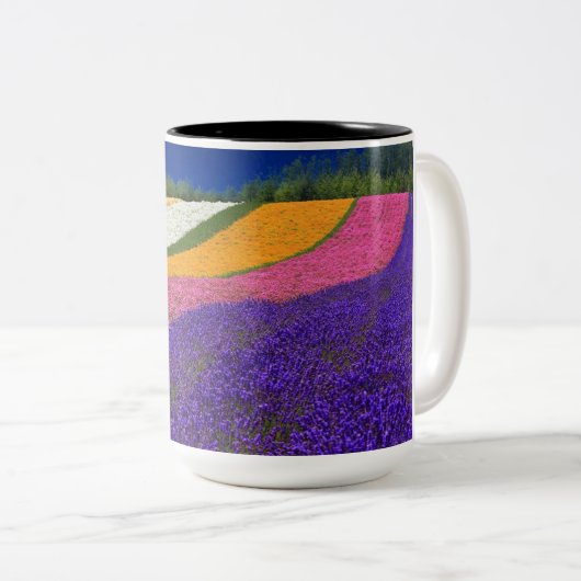 2 Couleurs tasse couleur (Devant droit)