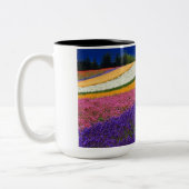 2 Couleurs tasse couleur (Gauche)