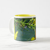 2 Couleurs Tasse d'abeille d'Esperanza (Devant gauche)