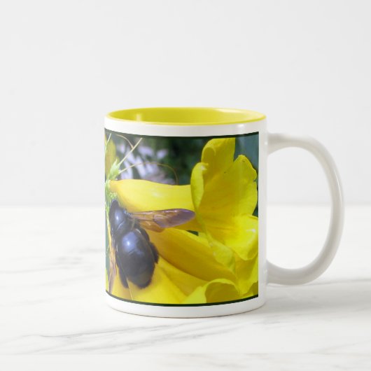 2 Couleurs Tasse d'abeille d'Esperanza (Droit)