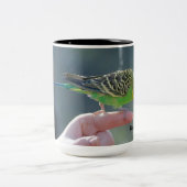 2 Couleurs Tasse d'amour de perruche (Centre)
