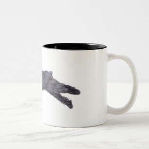 2 Couleurs Tasse d'art de chien de DES Flandres de Bouvier