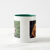 2 Couleurs Tasse de beagle (Centre)