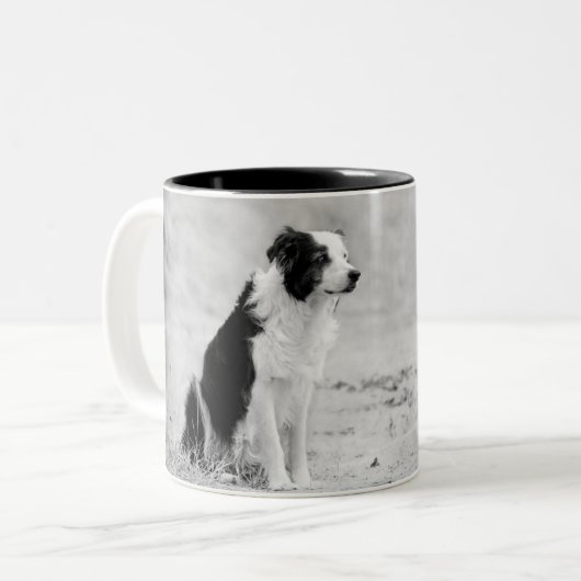 2 Couleurs Tasse de border collie (Devant gauche)