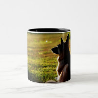Tasse de café de berger allemand