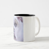 2 Couleurs Tasse de café de bouledogue (Devant droit)