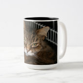 2 Couleurs Tasse de café de chat (Devant droit)