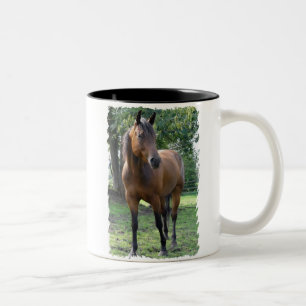2 Couleurs Tasse de café de cheval de pur sang de baie