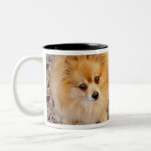 2 Couleurs Tasse de café de chien de Pomeranian (Gauche)