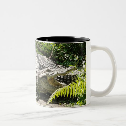 2 Couleurs Tasse de café de crocodile (Droit)