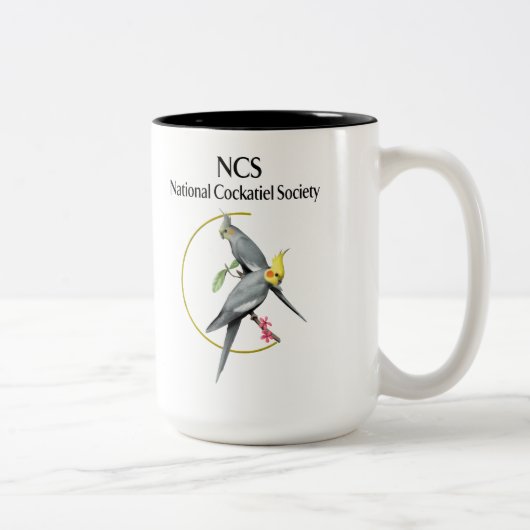 2 Couleurs TASSE de café de NCS (Droit)