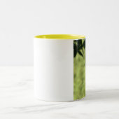 2 Couleurs Tasse de café de pivert de Pileated (Centre)