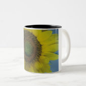 2 Couleurs tasse de café de tournesol (Devant droit)
