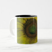 2 Couleurs tasse de café de tournesol (Devant gauche)