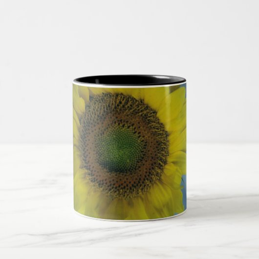 2 Couleurs tasse de café de tournesol (Centre)