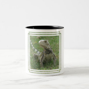 2 Couleurs Tasse de café d'iguane