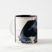 2 Couleurs Tasse de café d'ours de Sun (Devant gauche)