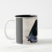 2 Couleurs Tasse de café d'ours de Sun (Gauche)