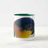 2 Couleurs Tasse de caïque (Centre)