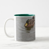 2 Couleurs Tasse de canard (Gauche)