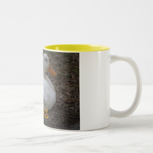 2 Couleurs Tasse de canard (Droit)