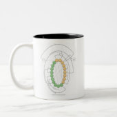 2 Couleurs Tasse de Cassini (Gauche)