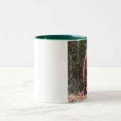 2 Couleurs Tasse de castor de jardin (Centre)