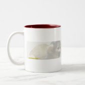 2 Couleurs Tasse de cave (Gauche)