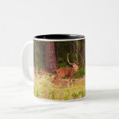 2 Couleurs Tasse de cerfs communs d'axe (Devant gauche)