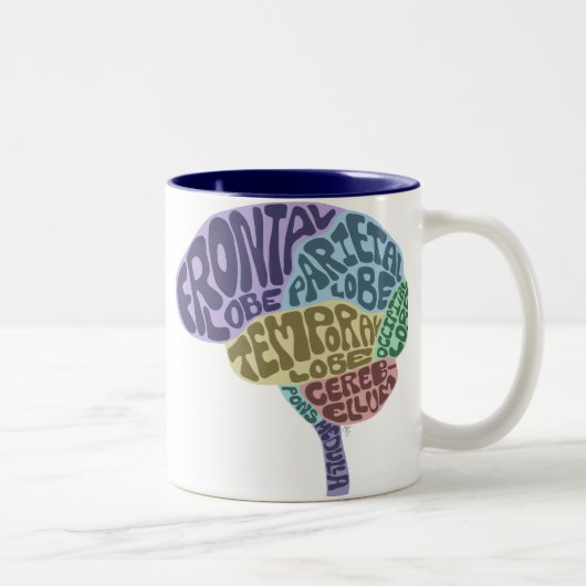 2 Couleurs Tasse de cerveau (Droit)