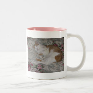 2 Couleurs tasse de chat