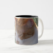 2 Couleurs Tasse de chat (Devant droit)
