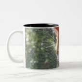 2 Couleurs Tasse de chat (Gauche)