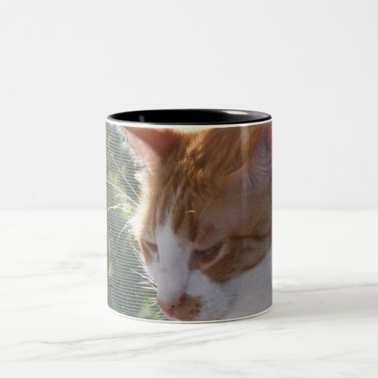 2 Couleurs Tasse de chat (Centre)
