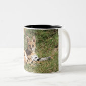 2 Couleurs Tasse de chat de Serval (Devant droit)