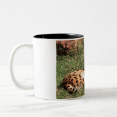 2 Couleurs Tasse de chat de Serval (Gauche)