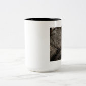 2 Couleurs Tasse de chat gris dormant (Centre)