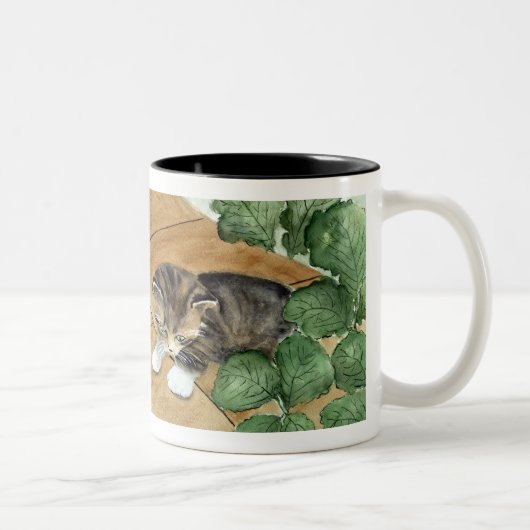 2 Couleurs Tasse de chaton (Droit)
