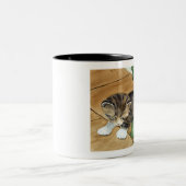 2 Couleurs Tasse de chaton (Centre)