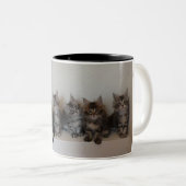 2 Couleurs Tasse de chatons de ragondin du Maine (Devant droit)