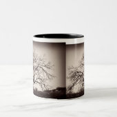 2 Couleurs Tasse de chêne (Centre)