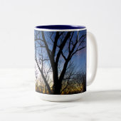 2 Couleurs Tasse de ciel de DECAllingham (Devant droit)