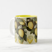 2 Couleurs Tasse de citrons (Devant gauche)