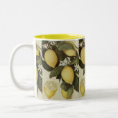 2 Couleurs Tasse de citrons (Gauche)