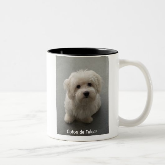 2 Couleurs Tasse de coton (Droit)