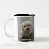 2 Couleurs Tasse de coton (Gauche)