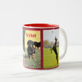 2 Couleurs Tasse de cricket (Devant droit)