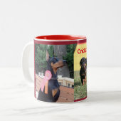2 Couleurs Tasse de cricket (Devant gauche)