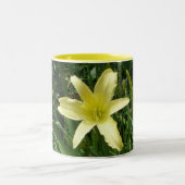 2 Couleurs Tasse de Daylily (Centre)